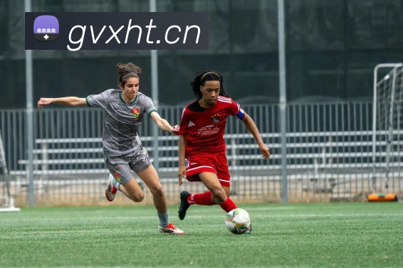 leyu乐鱼中国官方网站品牌故事